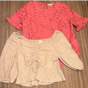 Pink and Cream Women's Blouse Set